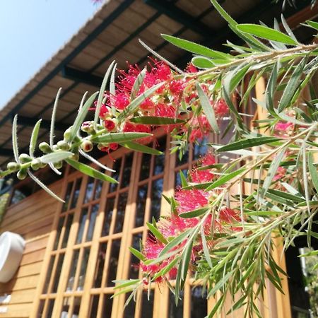 Paiyannoi Guesthome Chiang Mai Zewnętrze zdjęcie