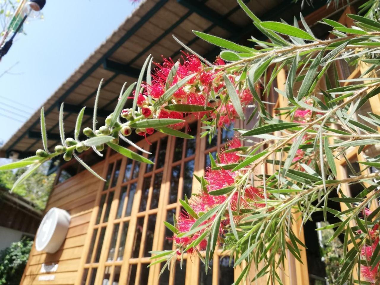 Paiyannoi Guesthome Chiang Mai Zewnętrze zdjęcie